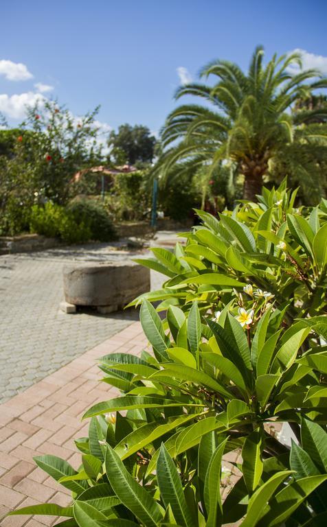Lycasti Maisonettes Tavronitis エクステリア 写真